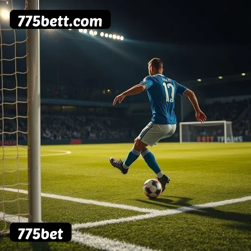 Suporte 24 horas 775bet